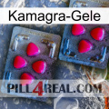 Kamagra Gels 14